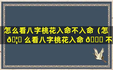 怎么看八字桃花入命不入命（怎 🦈 么看八字桃花入命 🐋 不入命的人）